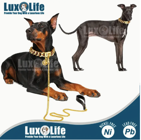 Gold Lux Collar