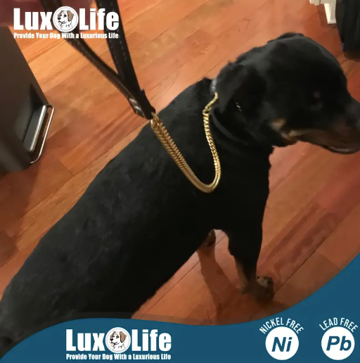 Gold Lux Collar