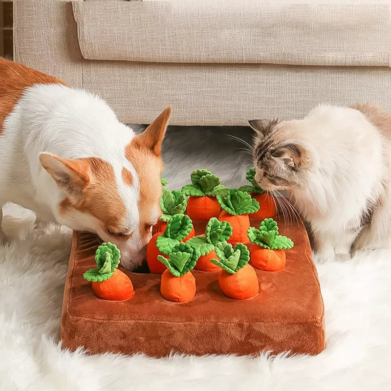 CARROT FIELD PET PLUSH TOY